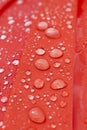 red part of umbrella Royalty Free Stock Photo