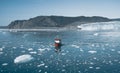 Red Passenger cruise ship sailing through the icy waters of Qasigiannguit, Greenland with Eqip Sermia Eqi Glacier in Royalty Free Stock Photo