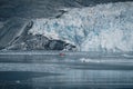 Red Passenger cruise ship sailing through the icy waters of Qasigiannguit, Greenland with Eqip Sermia Eqi Glacier in Royalty Free Stock Photo