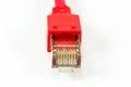 Red patch cable with RJ45 connector isolated on white background Royalty Free Stock Photo