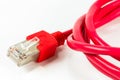 Red patch cable with RJ45 connector isolated on white background Royalty Free Stock Photo