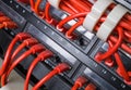 Red patch cord cables connected to black switch Royalty Free Stock Photo