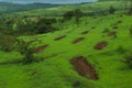 Red patches and beautiful mountain greenery Royalty Free Stock Photo