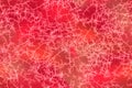 Red pattern imitation of marbled meat texture Royalty Free Stock Photo