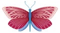Red pattern wing butterfly. Wildlife insect. Flying animal