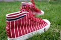 Red patterned sneakers walking on the grass. Royalty Free Stock Photo