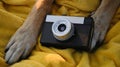 Red paws of a dog on a yellow plaid with a retro photo camera. Vintage camera and German Shepherd professional