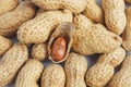 Red peanut kernel in shell