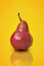 Red pear Royalty Free Stock Photo