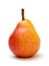 Red pear Royalty Free Stock Photo