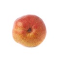 Red pear fruit isolated Royalty Free Stock Photo
