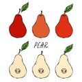 Red Pear and Leaf. Fresh Fruit Nutrition Diet. Autumn or Fall Vegetable Harvest Collection. Realistic Hand Drawn High Quality Vect Royalty Free Stock Photo