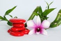 Red pebbles arranged in zen lifestyle with an orchids on the right side of bamboo twisted all on white background Royalty Free Stock Photo