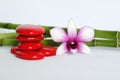 Red pebbles arranged in zen lifestyle with a two-tone orchid on the right side of the bamboo posed behind the whole on a white bac Royalty Free Stock Photo