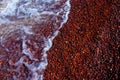 Red Pebbles with Lake Superior Waves Crashing Royalty Free Stock Photo