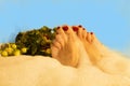 Red pedicure - varnished female toes, spring time