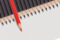 Red pencil among a group of black pencils. the leader takes responsibility and risks