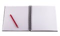 Red pencil placed on notebook.