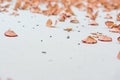 Red Pencil Shavings Closeup Texture Background White Pieces Dust Royalty Free Stock Photo