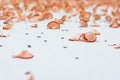 Red Pencil Shavings Closeup Texture Background White Pieces Dust Royalty Free Stock Photo