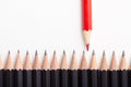 Red pencil standing out from crowd Royalty Free Stock Photo