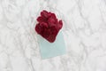 Red peonie`s petals in the envelope