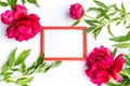 Red peony flowers and empty photo frame on white Royalty Free Stock Photo