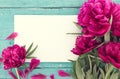 Red peony flowers on turquoise rustic wooden background with emp Royalty Free Stock Photo