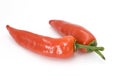 Red peperoni Royalty Free Stock Photo