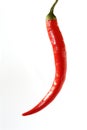 Red Peperoni Royalty Free Stock Photo