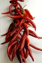Red peperoni on a string Royalty Free Stock Photo