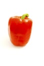 Red Pepper Royalty Free Stock Photo