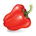 Red pepper