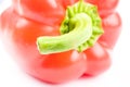 Red Pepper Royalty Free Stock Photo