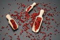 Red pepper berries Royalty Free Stock Photo