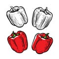 Red pepper. Culinary seasoning, food vector