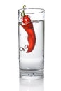 Red pepper dropped into water glass Royalty Free Stock Photo