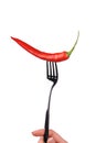 red pepper on the fork Royalty Free Stock Photo