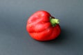 Red pepper on the gray background