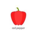 Red pepper icon. Healthy farm food concept. Fresh paprika vegetable with inscription