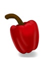 Red pepper illustration