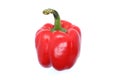 Red Pepper isolated on white background. Bell sweet pepper. Paprika. One. Close-up. Royalty Free Stock Photo