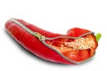 Red Pepper - Jalapeno pepper with a zip Royalty Free Stock Photo