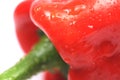 Red pepper macro