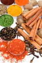 Red pepper and other spices Royalty Free Stock Photo