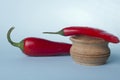 Red pepper and salt shaker Royalty Free Stock Photo