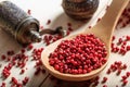 Red pepper seeds in a spoon Royalty Free Stock Photo