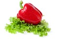 Red pepper on sheet of the salad