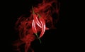 red pepper smoke a black chili background ingredient Royalty Free Stock Photo