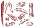 Red pepper spice seasonings, chili pepper sketch Royalty Free Stock Photo